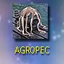 fotografia de agropecuária e agricultura