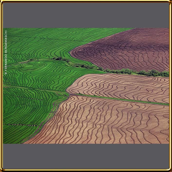 Aerial photo Rice plantation and soil preparation