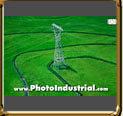 rice plantation aerial with power line