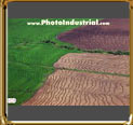Aerial photo Rice plantation and soil preparation.