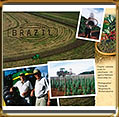 John Deere International calendar, Brazil chapter.