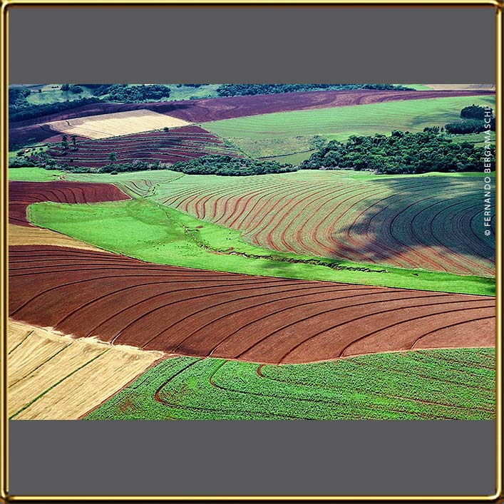 aerial photo of multiple plantation in Rio Grande do Sul, Brasil